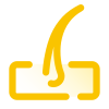 icons8 hair follicle 100
